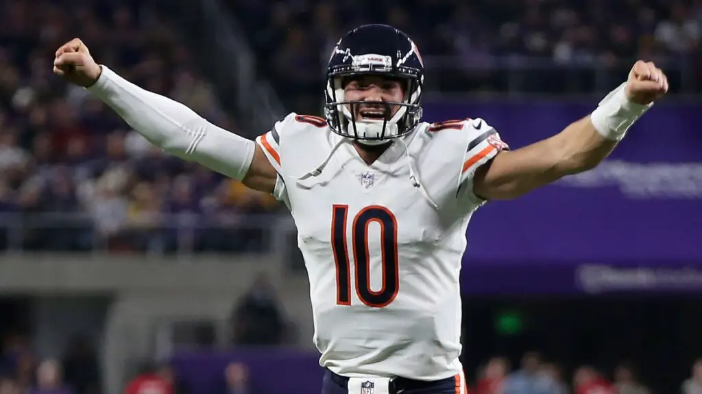 bears