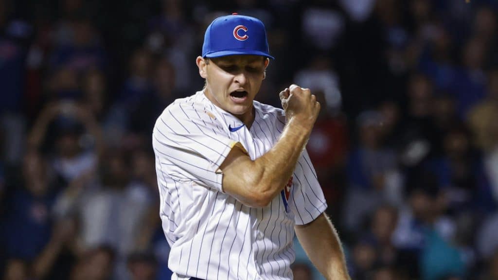 cubs hayden wesneski