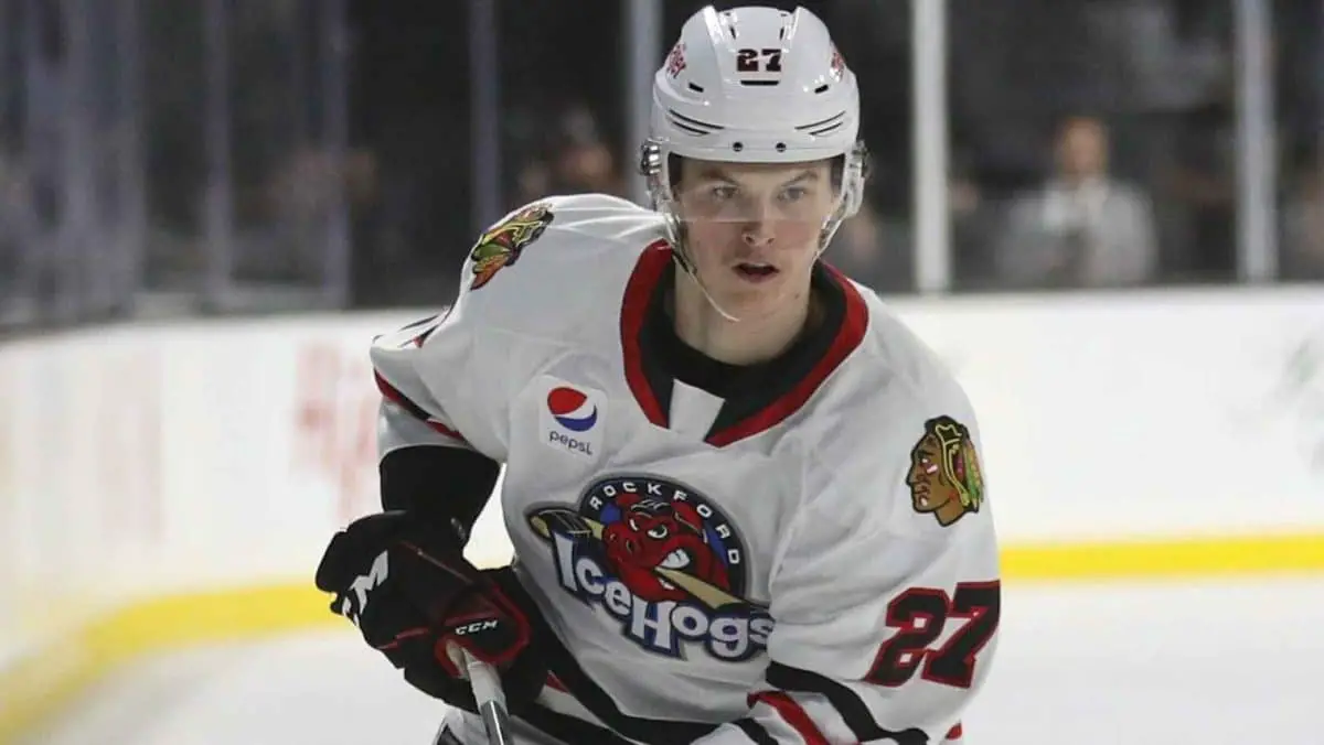 Chicago Blackhawks - We have recalled forward Lukas Reichel from Rockford  👀