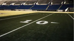 The Thrill of Victory: The Intense Competition and What it Takes to Win in the NFL