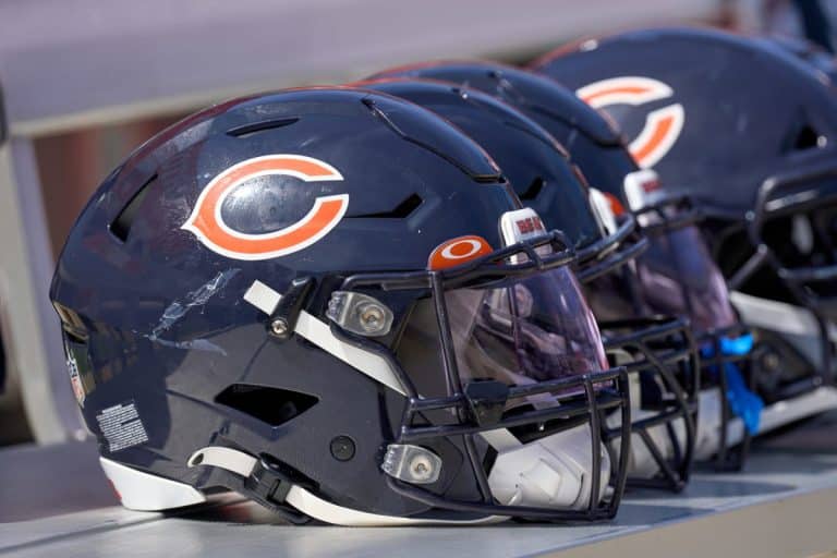 Discover The Best Top 8 Professional Sports Teams In Chicago