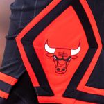 Chicago Bulls, Dave Greenwood