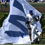 Chicago Cubs get a strong performance from two of their pitchers