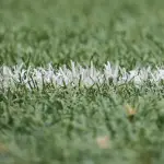 Parlay Like a Pro: Combining Chicago Teams for Maximum Payouts 44 Chicago
