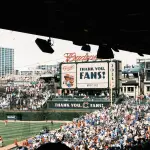 Cubs